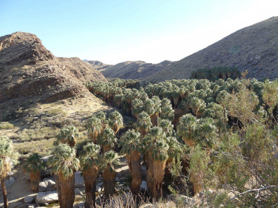 Agua Caliente Band seeks support at critical stage in water rights case