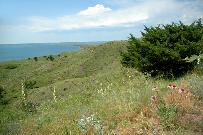 Few details about well-being of Lower Brule Sioux Tribe leader