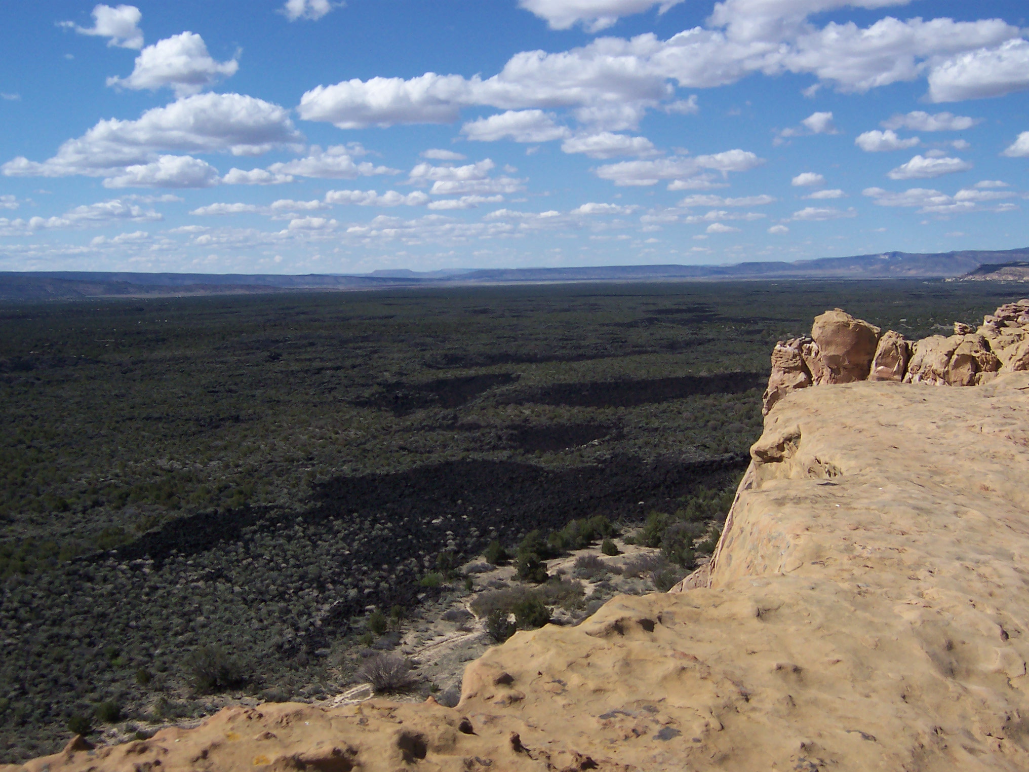 National Park Service proposes rule for tribal gathering of plants