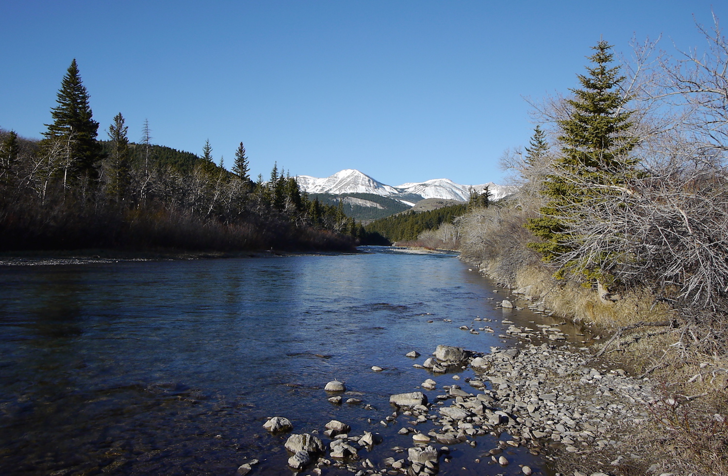 President Trump urged to declare sacred Blackfeet Nation lands as monument