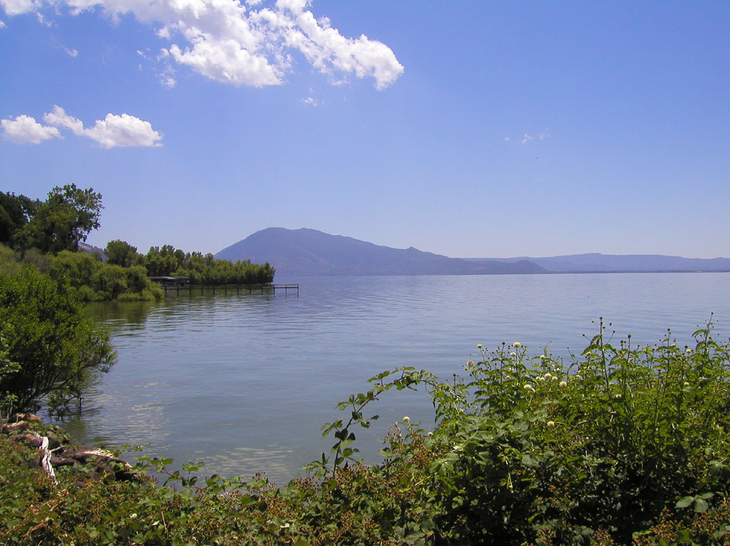 Brandon Marsh nature reserve - Wikipedia