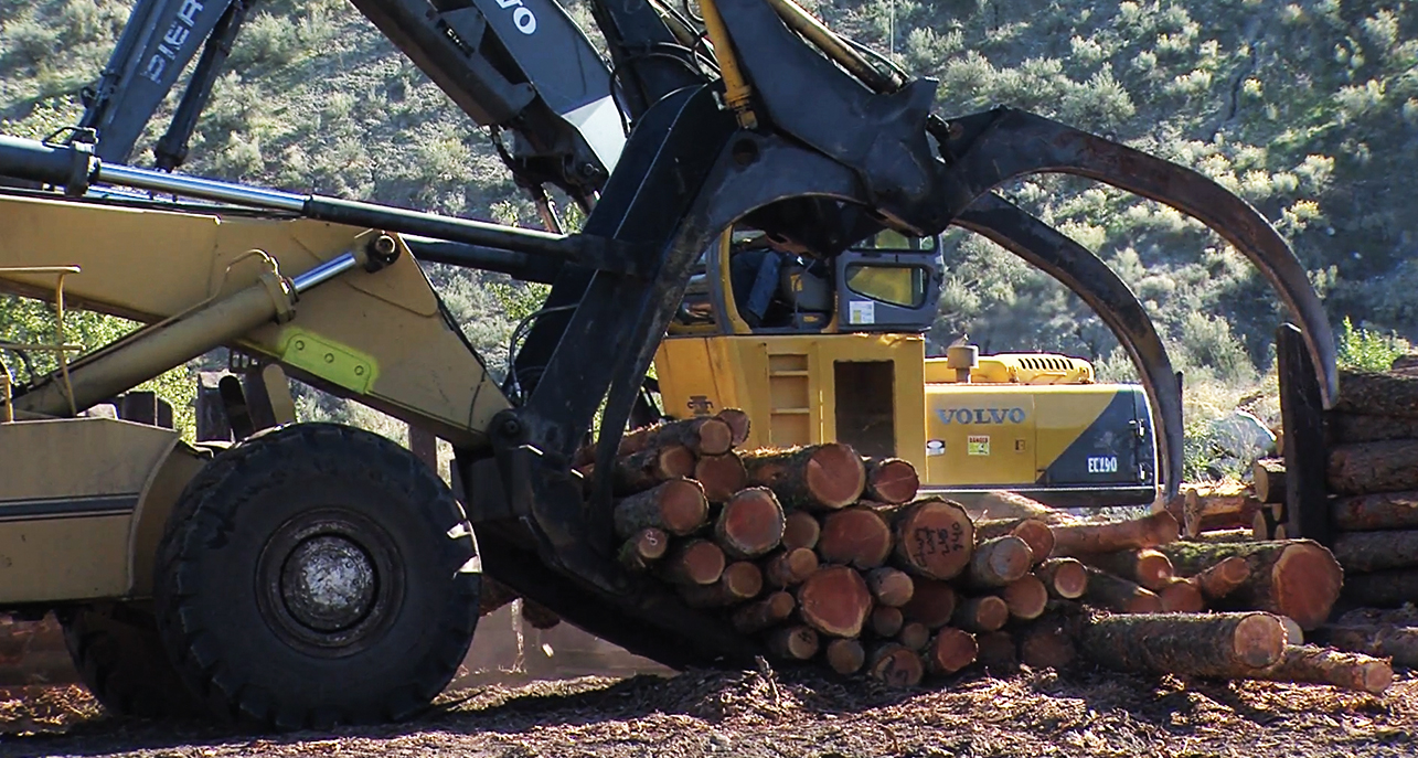 Colville Tribes announce closure of plywood mill in early 2016