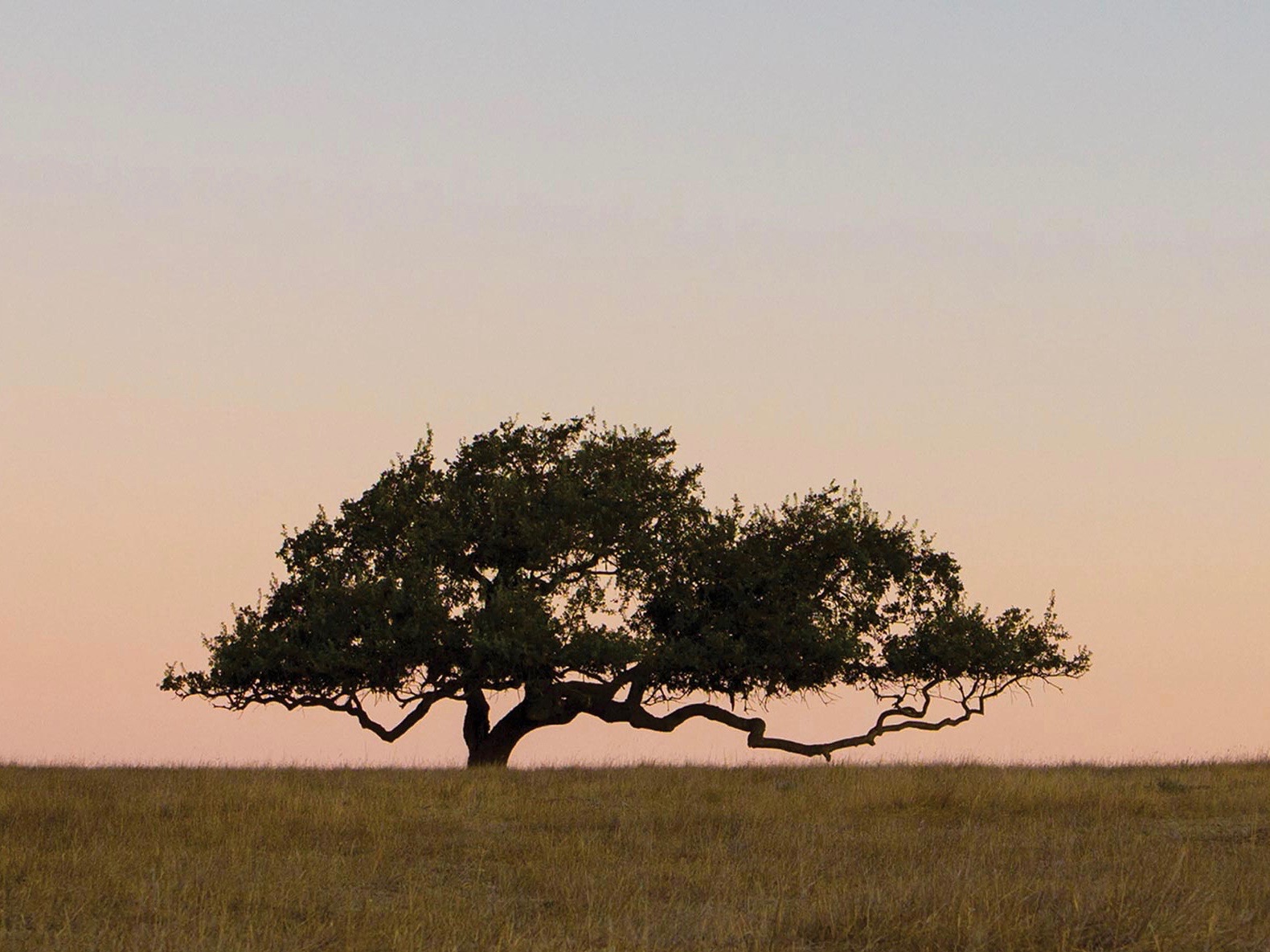 Chumash Tribe still willing to negotiate into land-into-trust agreement with county