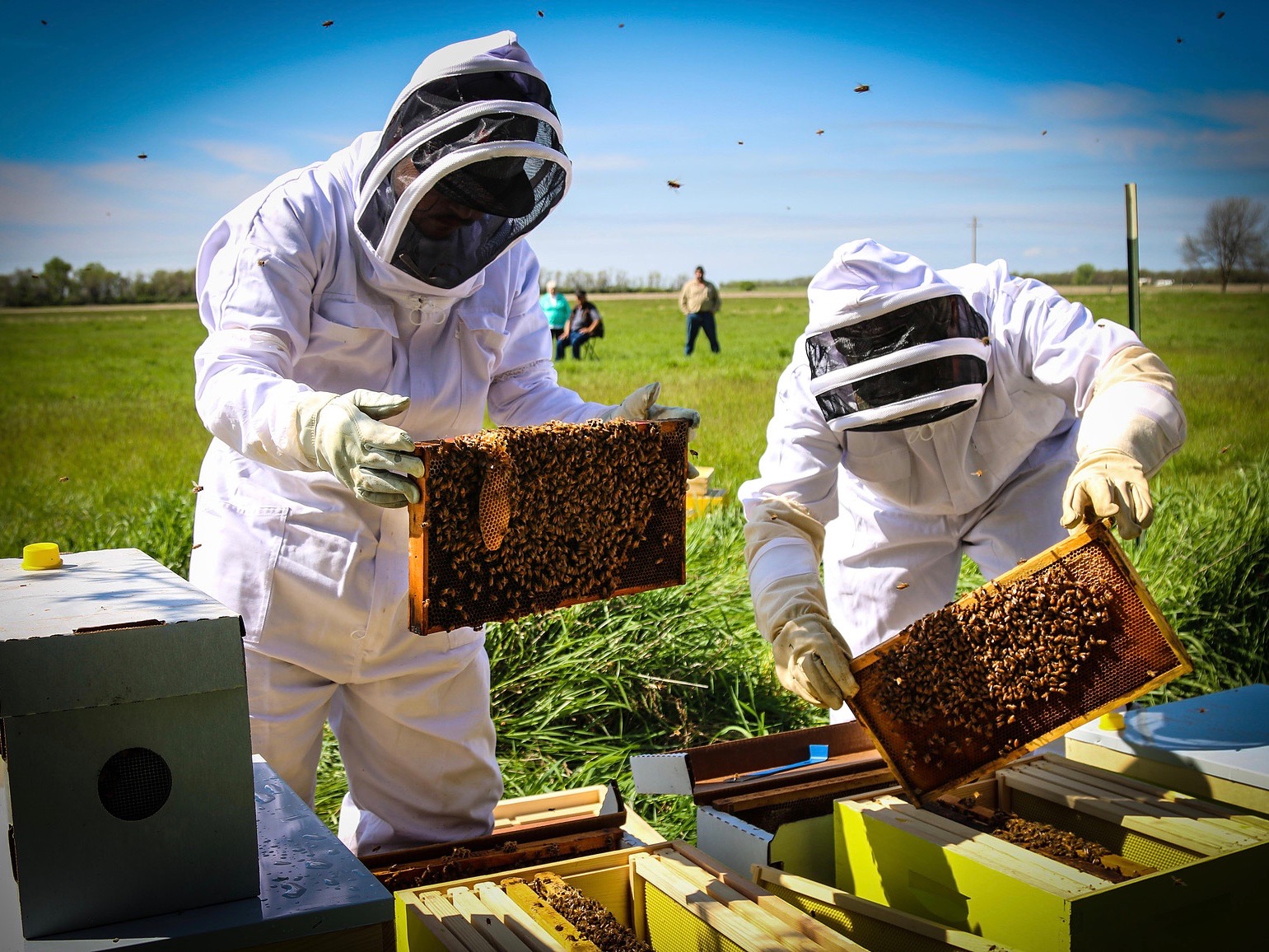 Native Sun News Today: Lakota youth set up beekeeping business