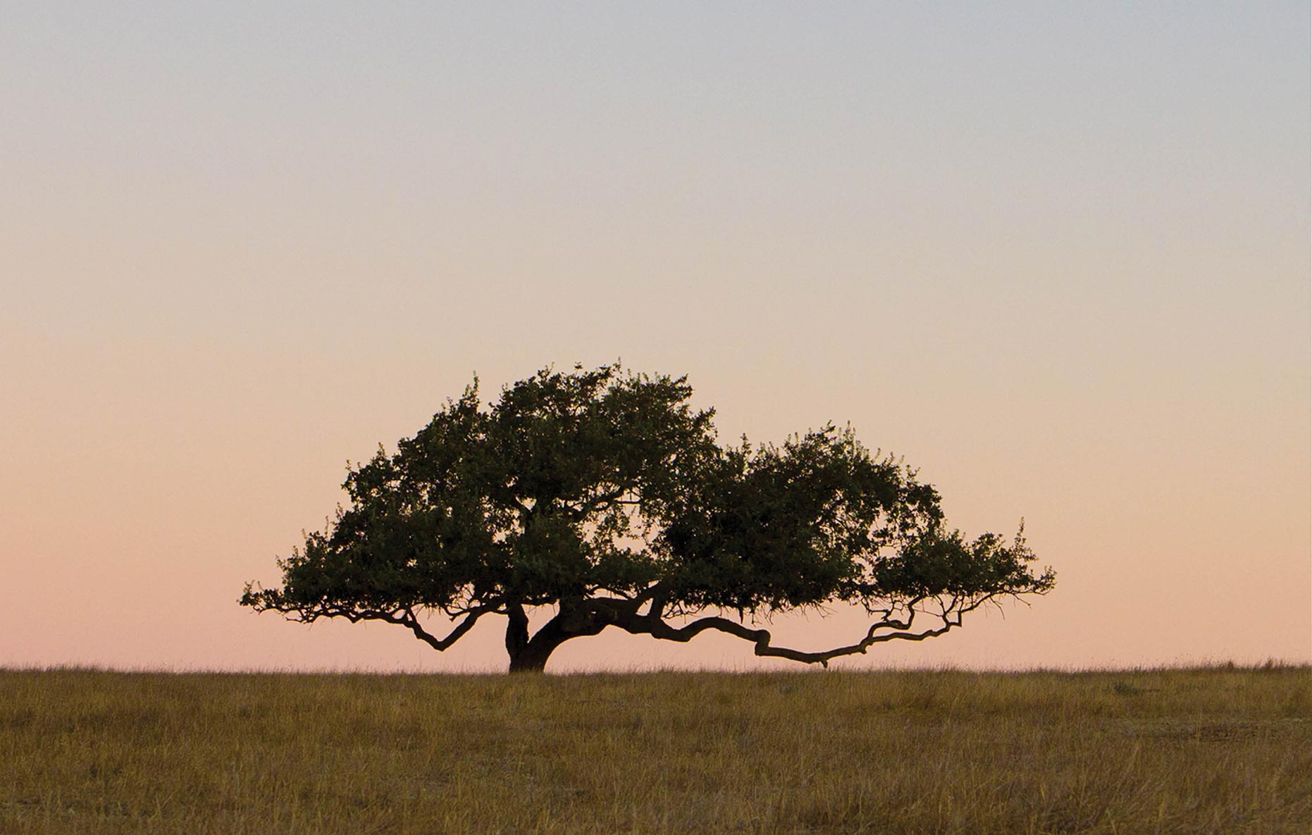 Bill in California offers tax relief for tribal lands going into trust