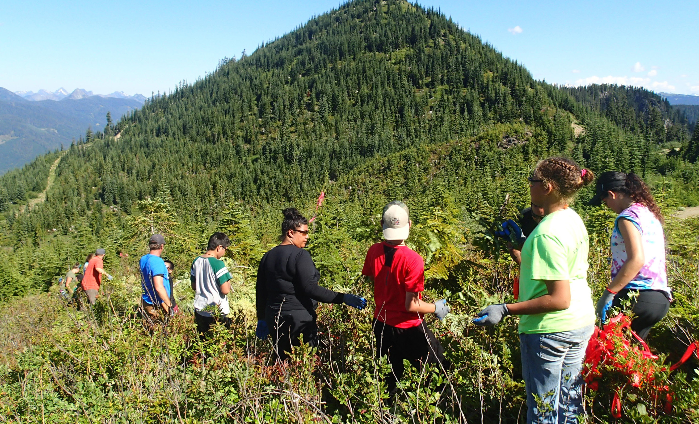 Tulalip Tribes preserve huckleberry grounds on ancestral territory in Washington