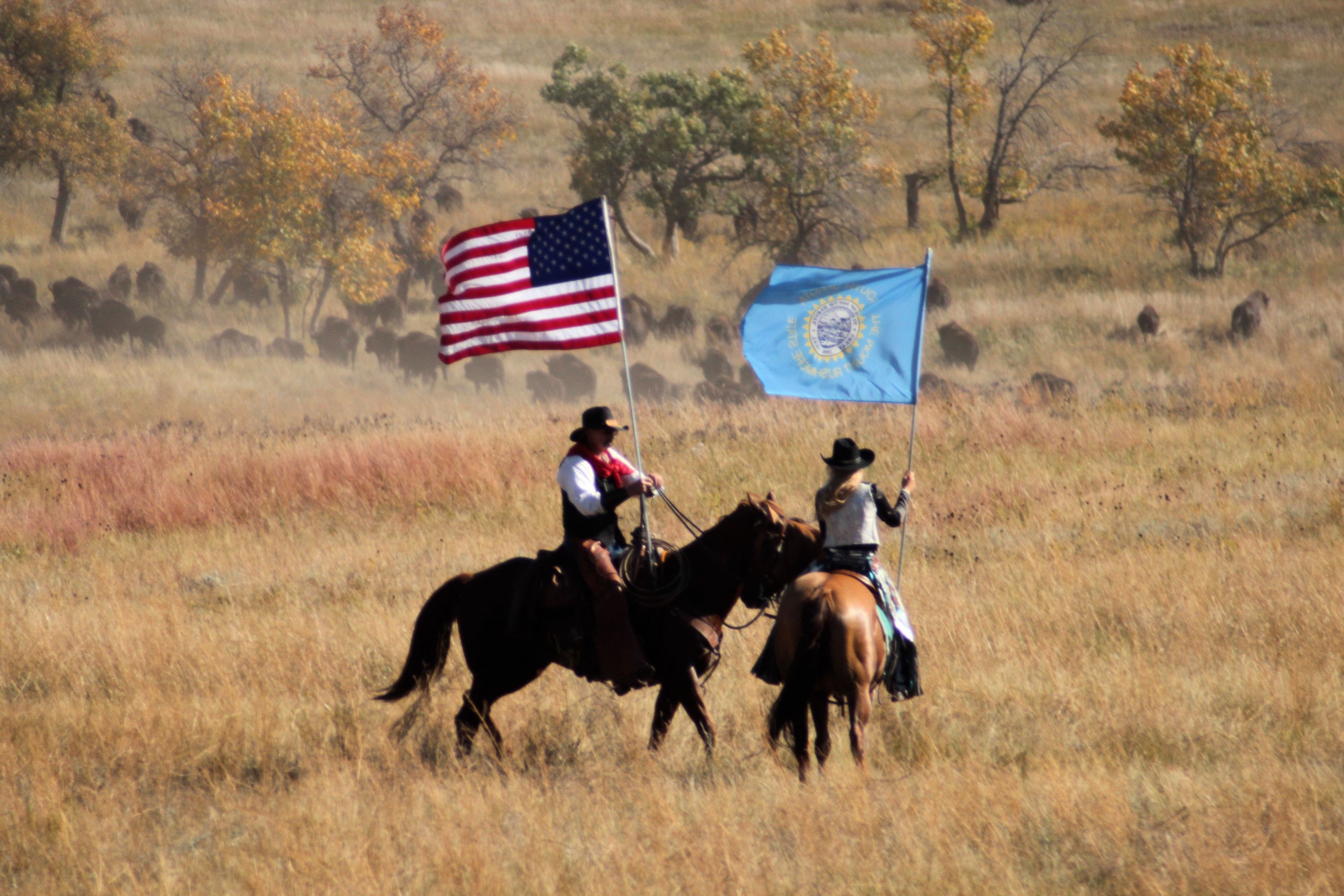 Tim Giago: South Dakota continues to ignore history with annual buffalo roundup