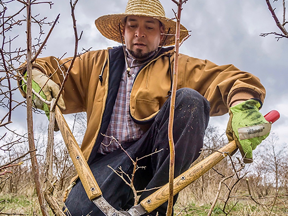 Indigenous farmworkers fight for fair working conditions