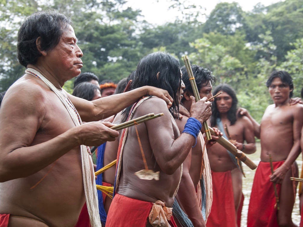 Death of Indigenous leader Emyra Wajãpi blamed on miners in Brazil