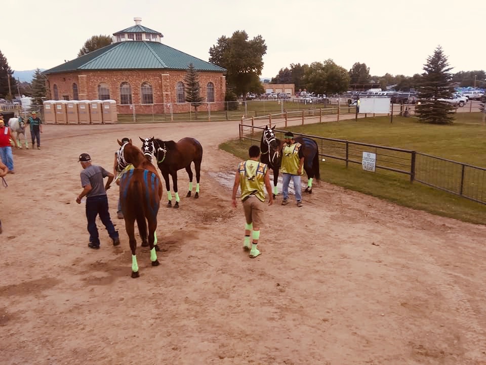 Native Sun News Today: Indian relay team wins top title at rodeo