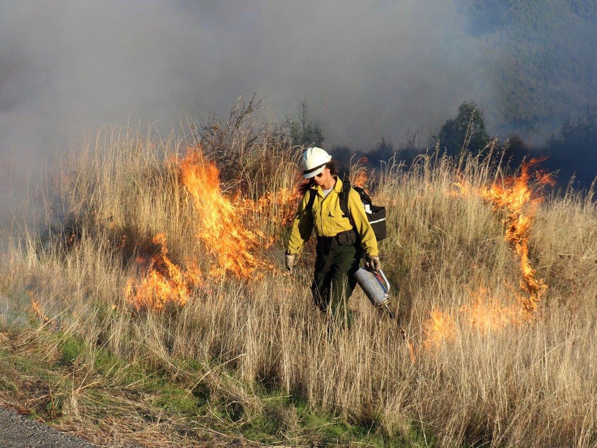 What western states can learn from Native American wildfire management strategies