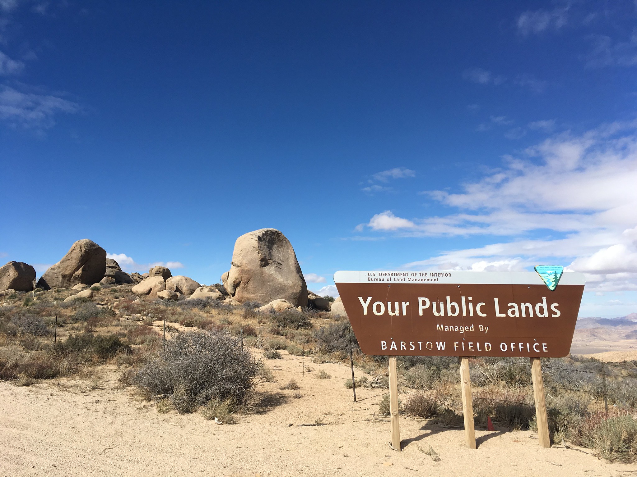 Debate continues over BLM move as workers face decision deadline