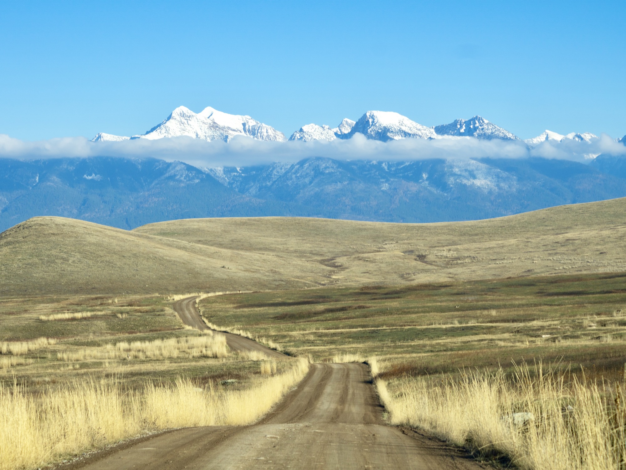 Daines and Tester co-sponsor CSKT water rights settlement