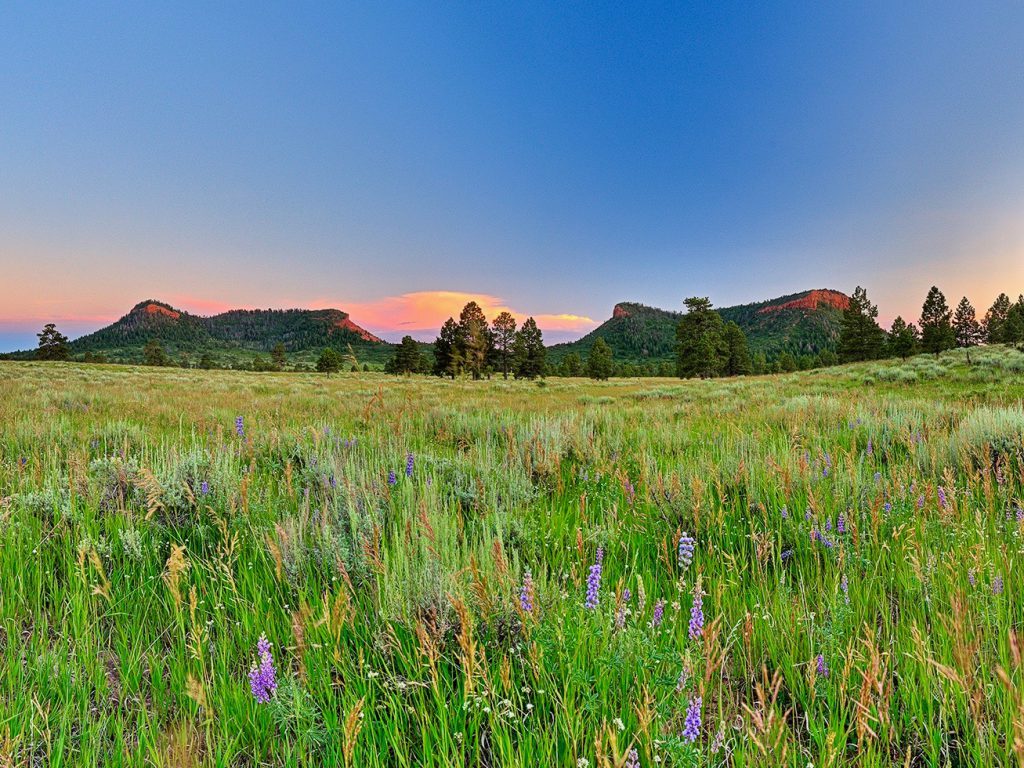 Bears Ears Buttes