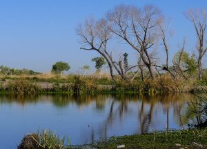 Tres Rios Wetlands