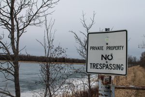 shoallake40