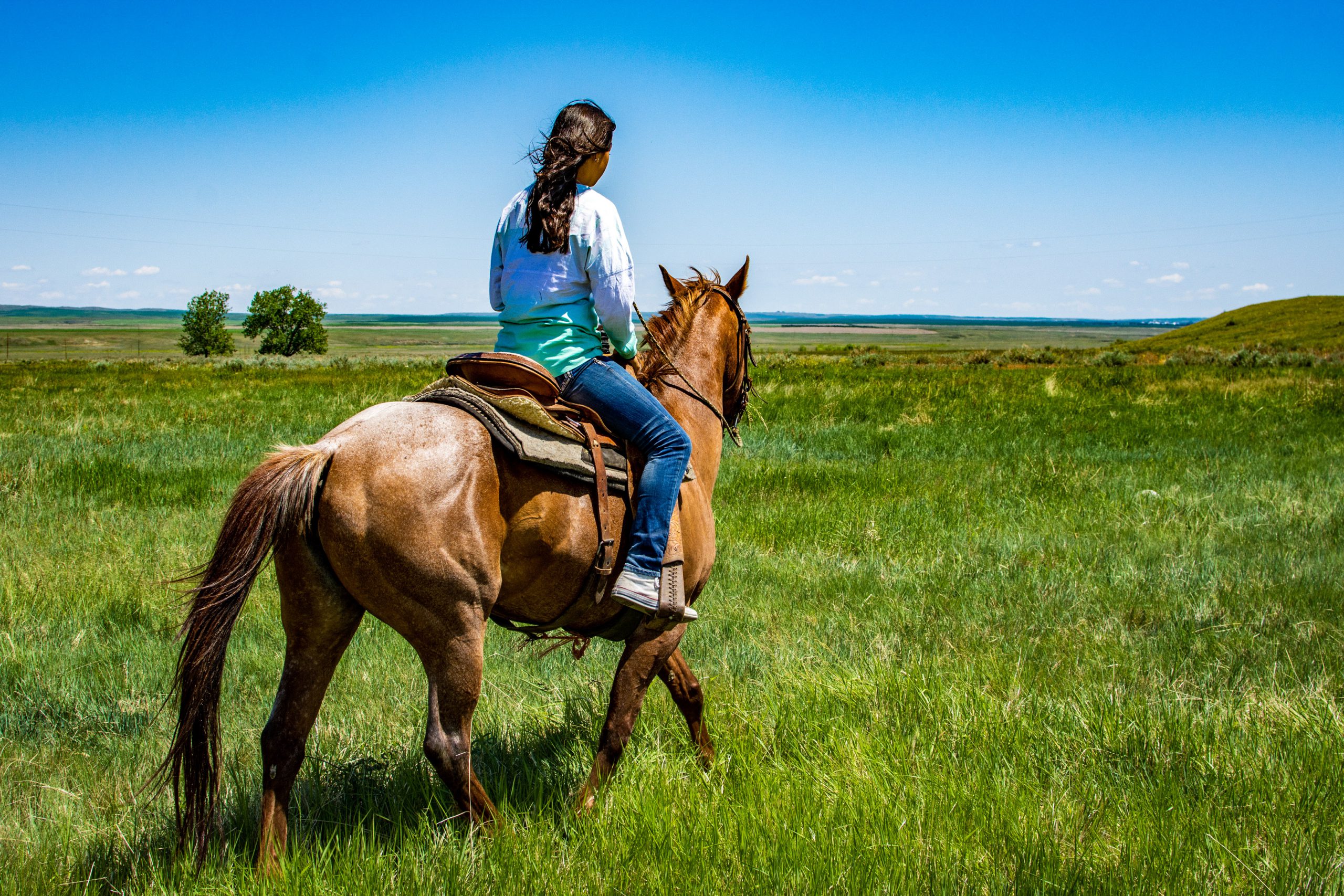 Horse Rider - Fort Peck Reservation