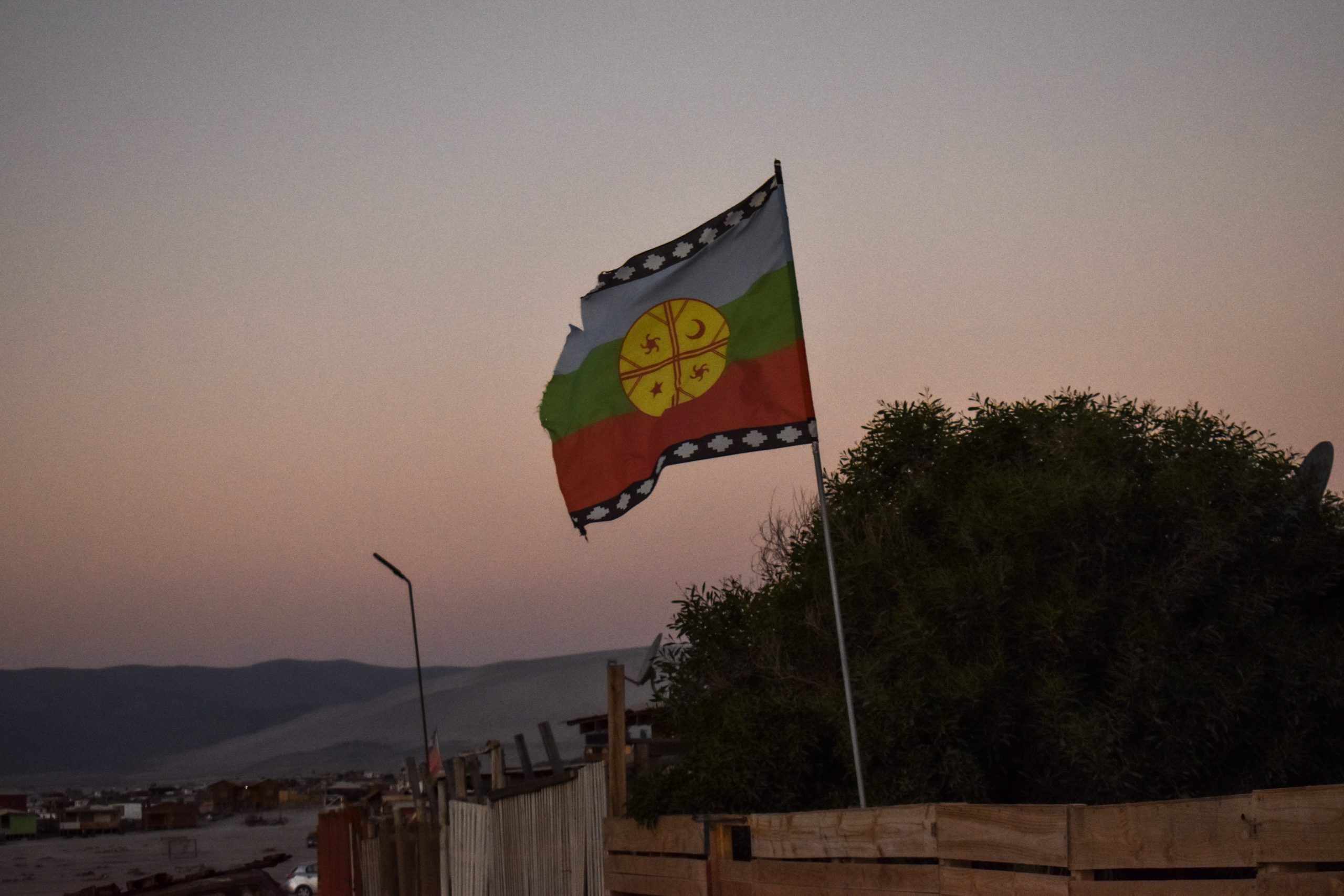 Mapuche Flag