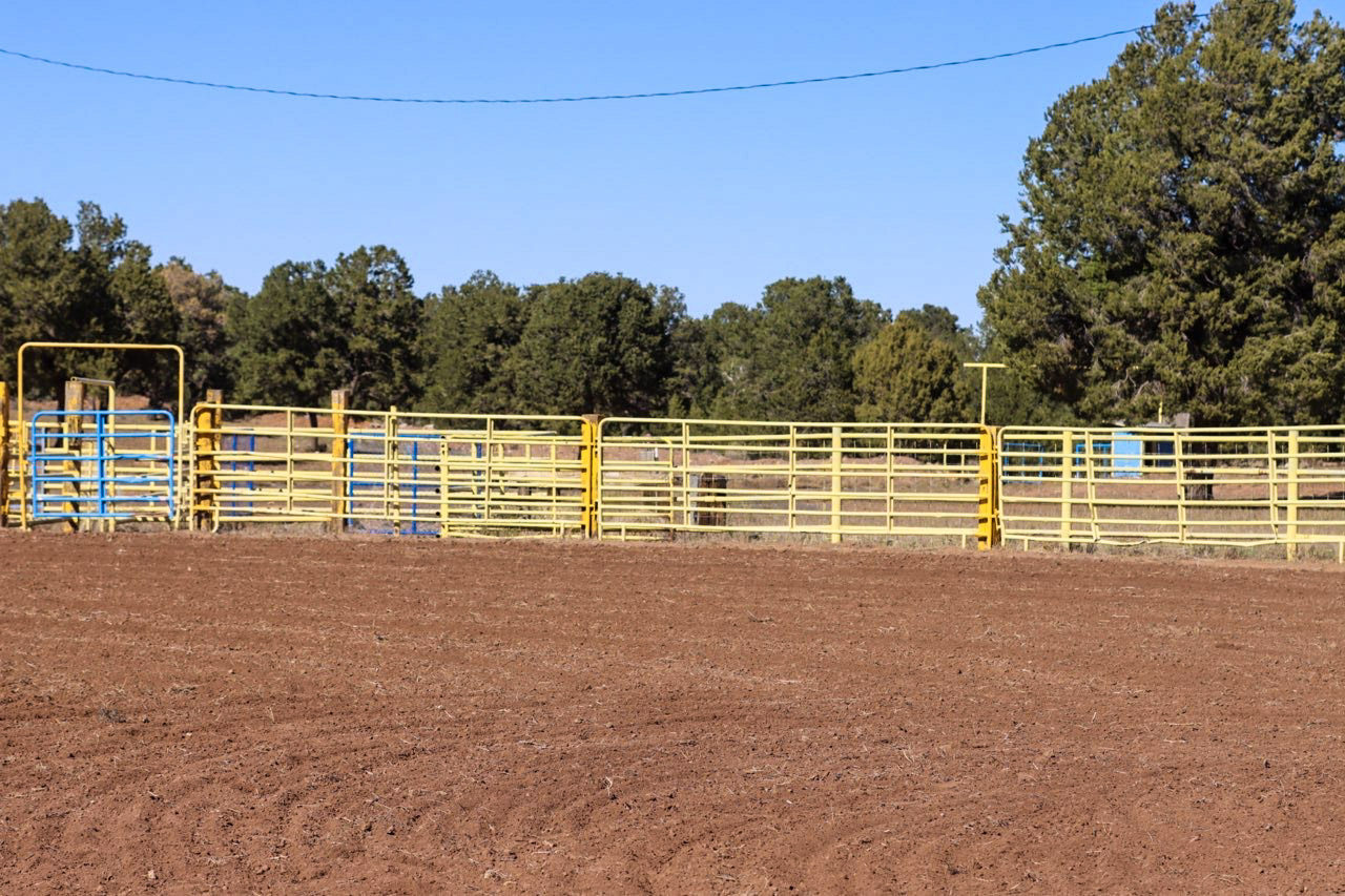 Diné College