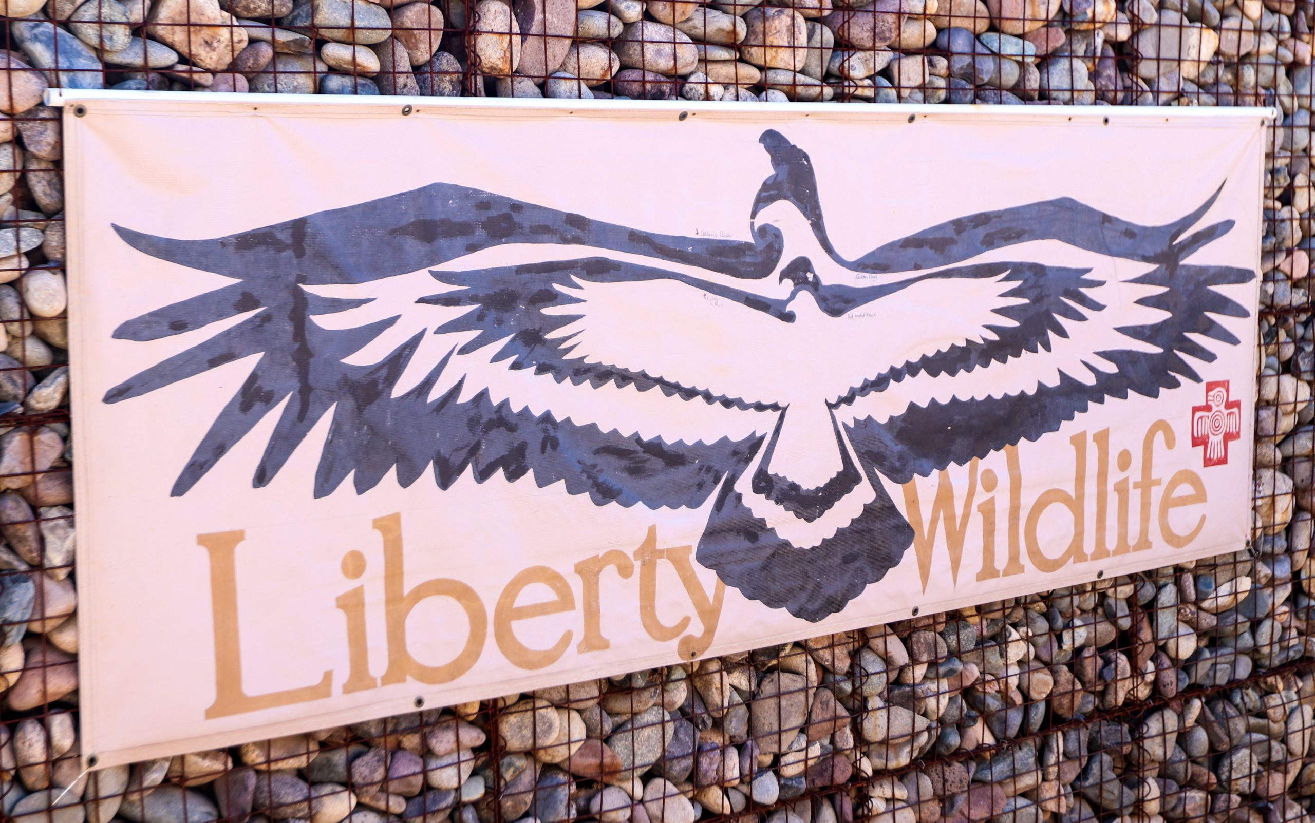 Liberty Wildlife