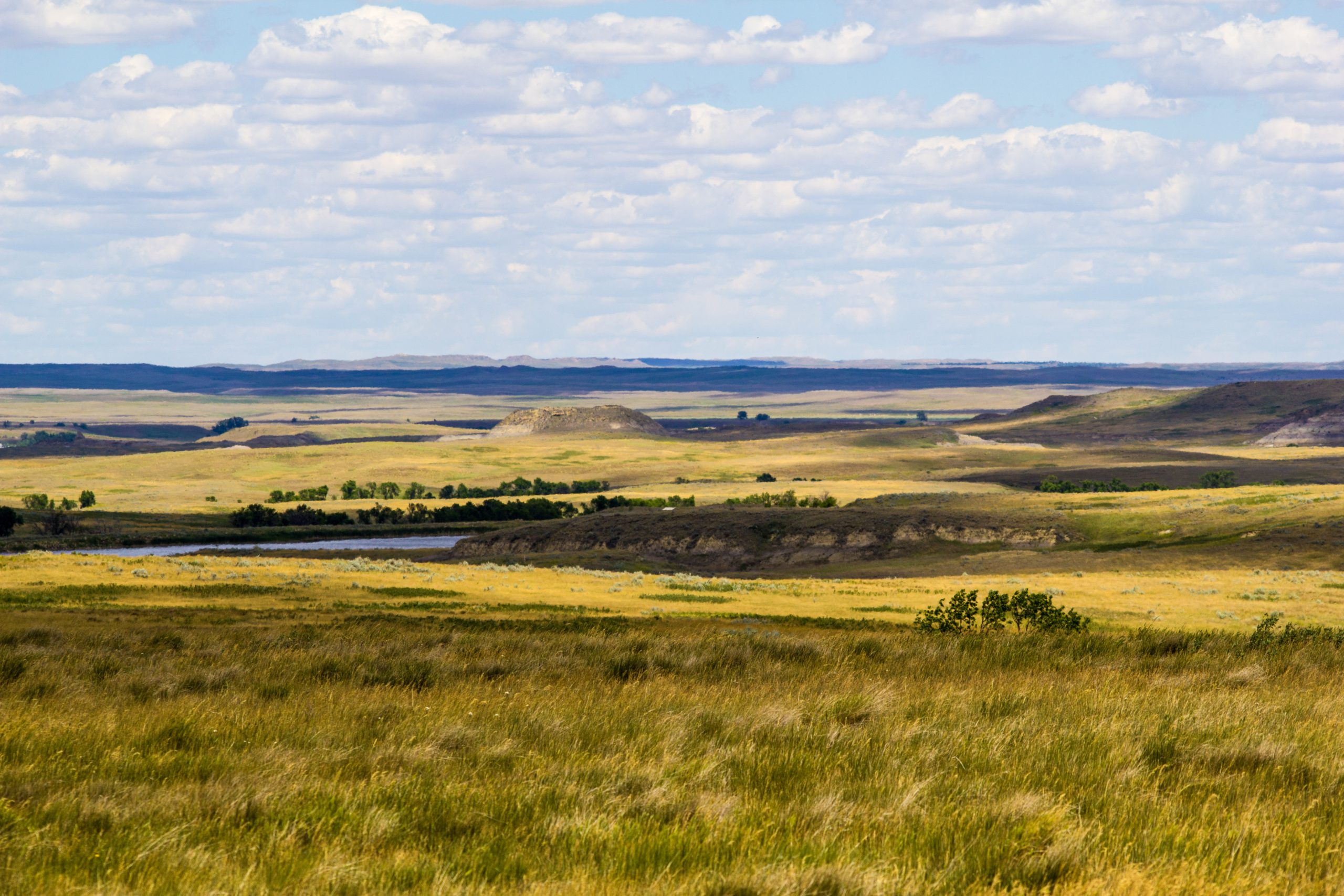 Grand River National Grassland