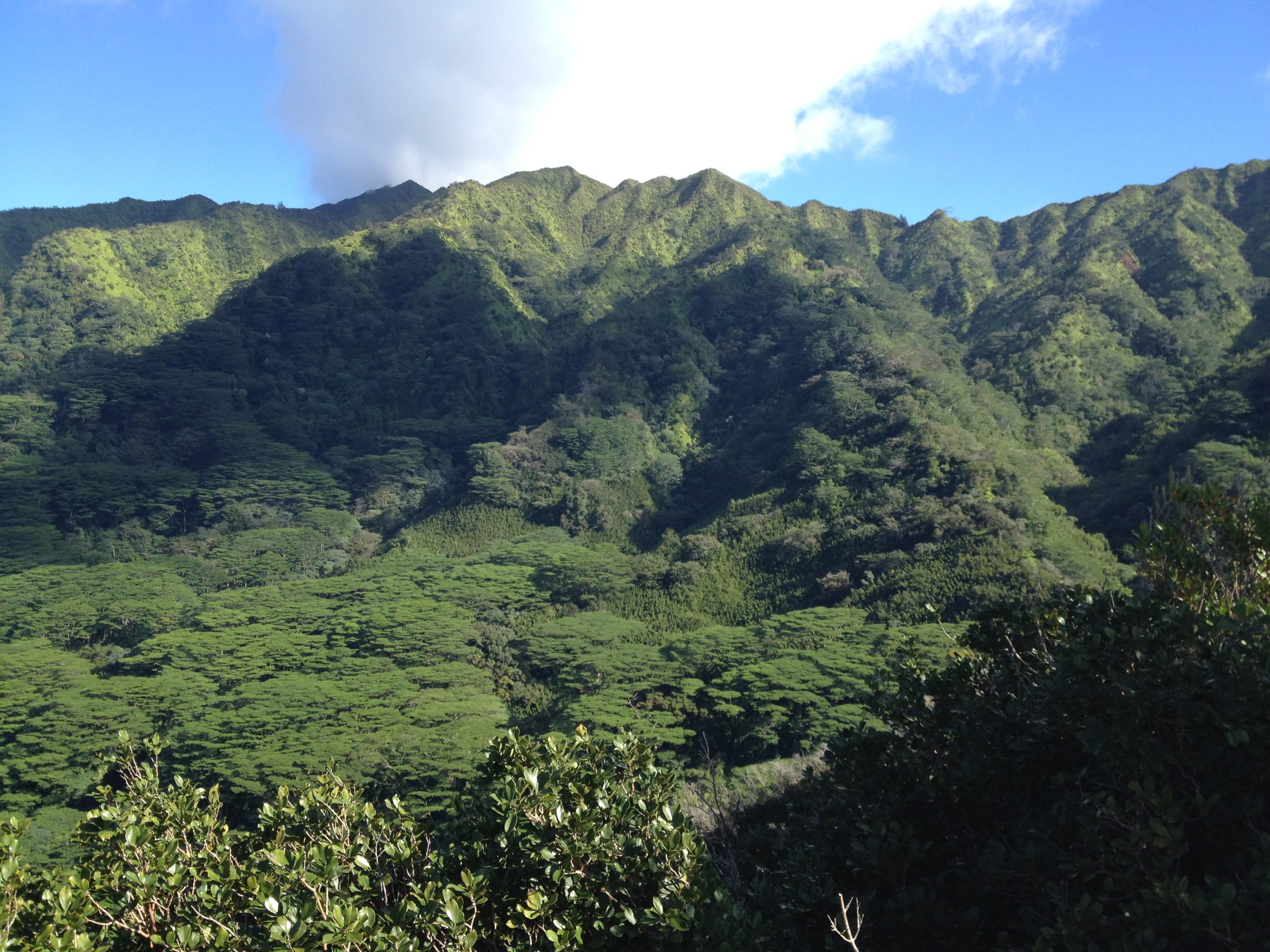 Manoa Valley in Hawaii