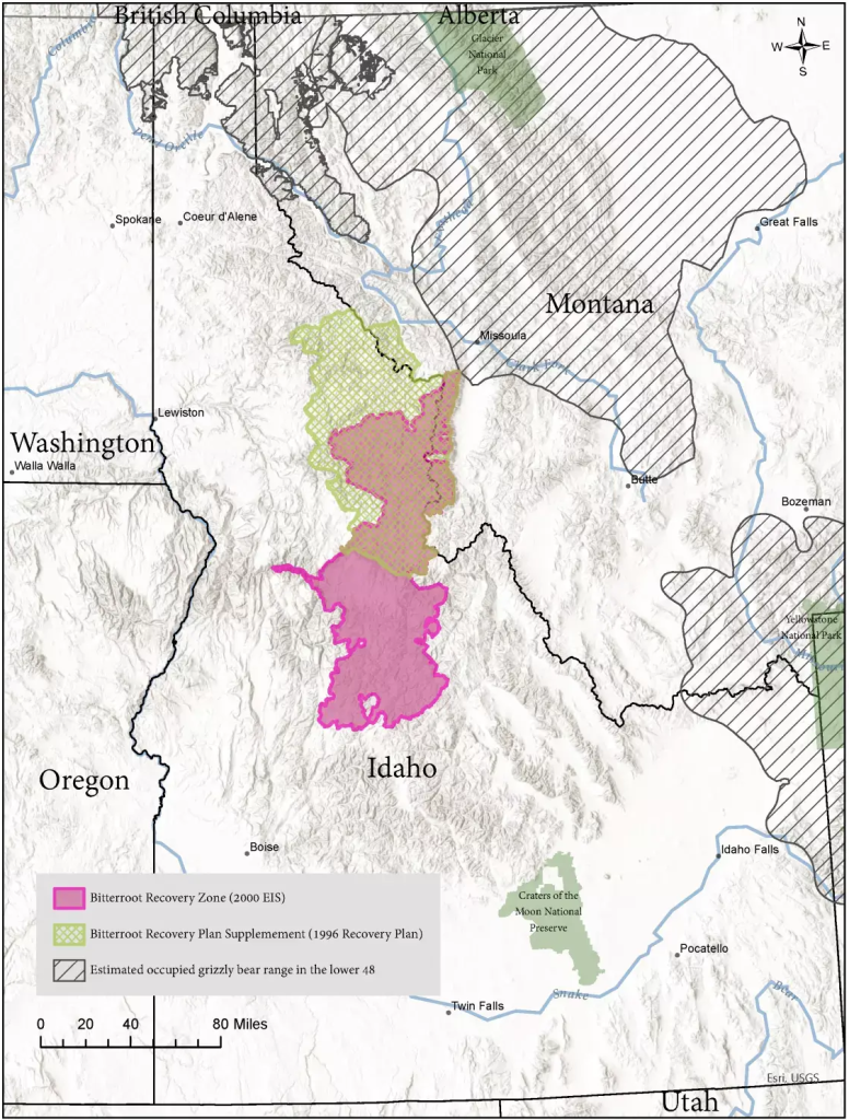 Bitterroot Grizzly Bear Recovery Zone - Indianz.Com