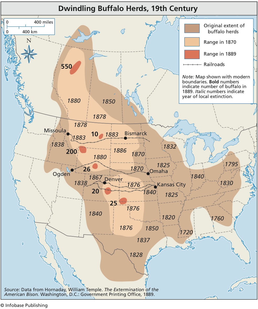 Dwindling Buffalo Herds, 19th Century