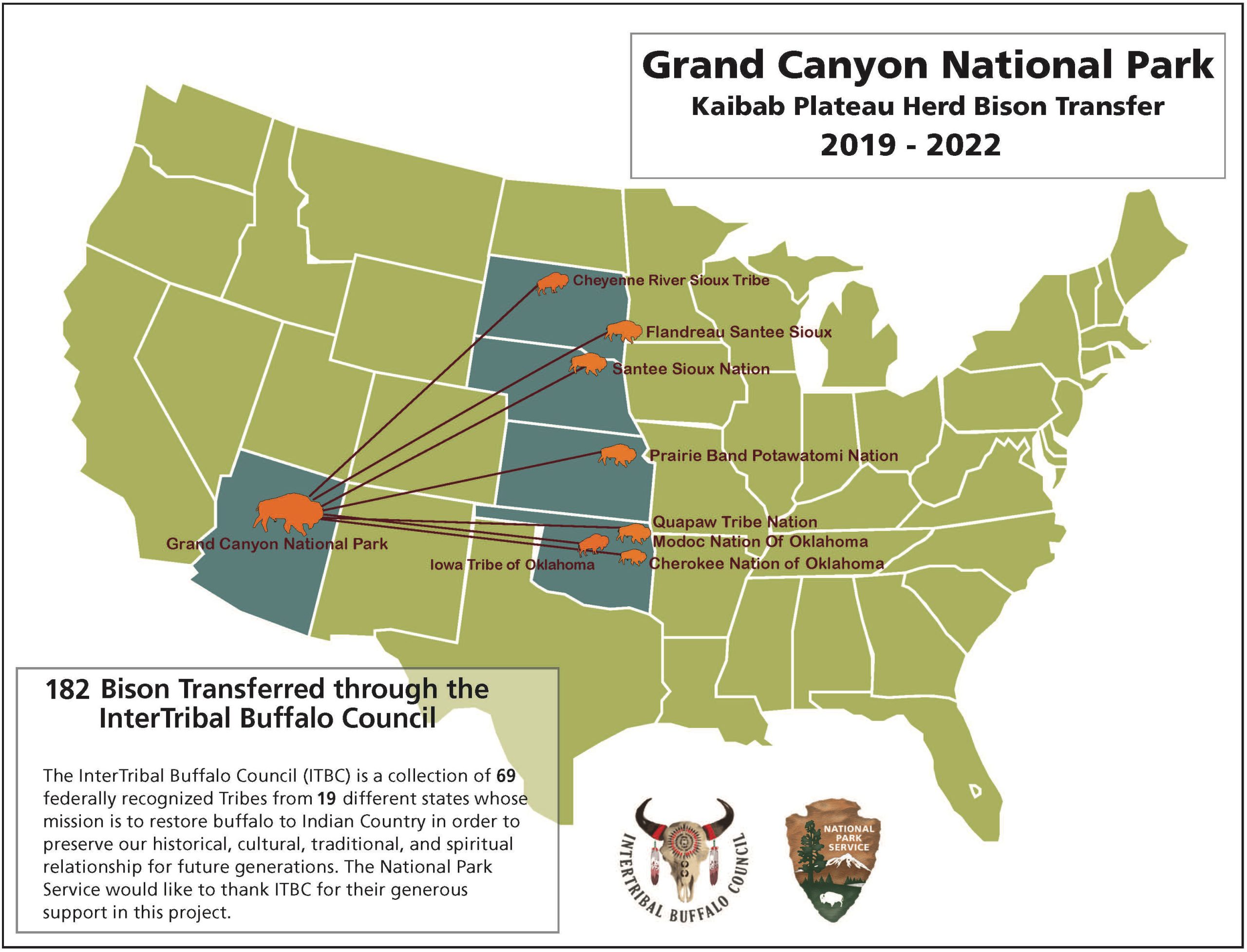 Grand Canyon National Park Kaibab Plateau Herd Bison Transfer