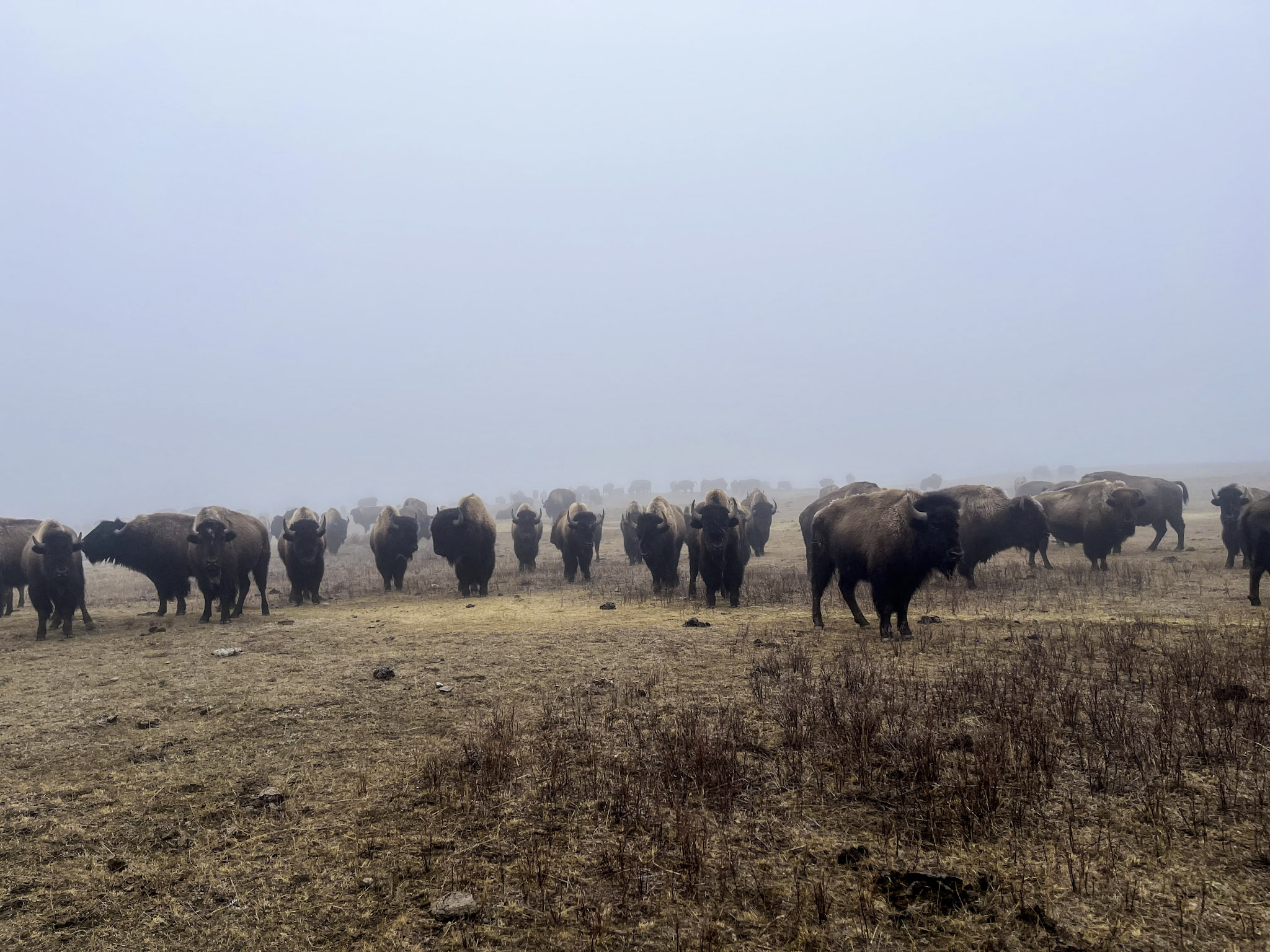 Fort Peck Reservation