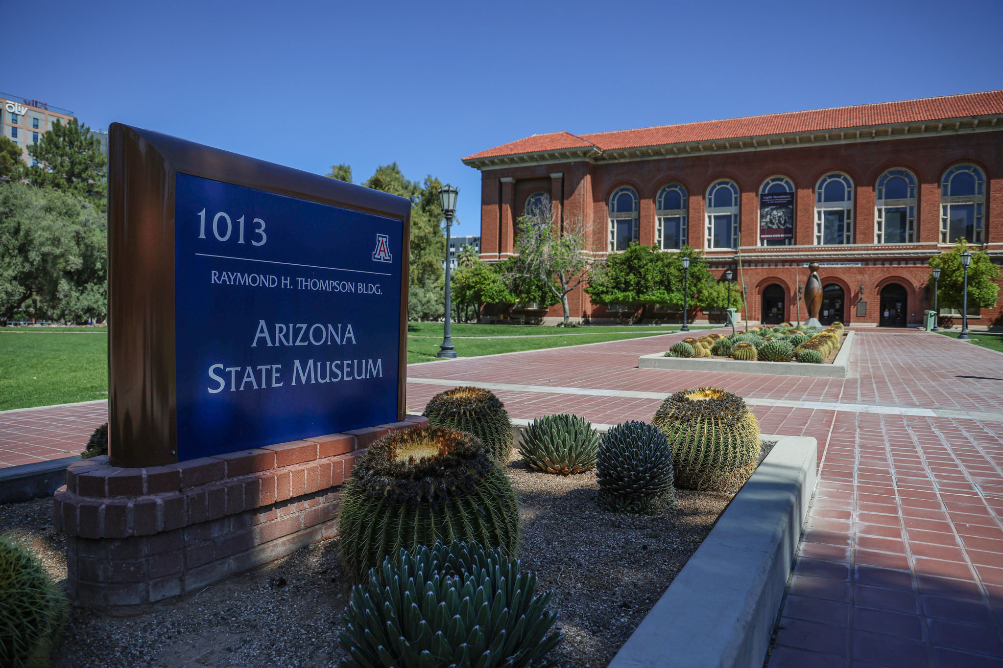 Arizona State Museum