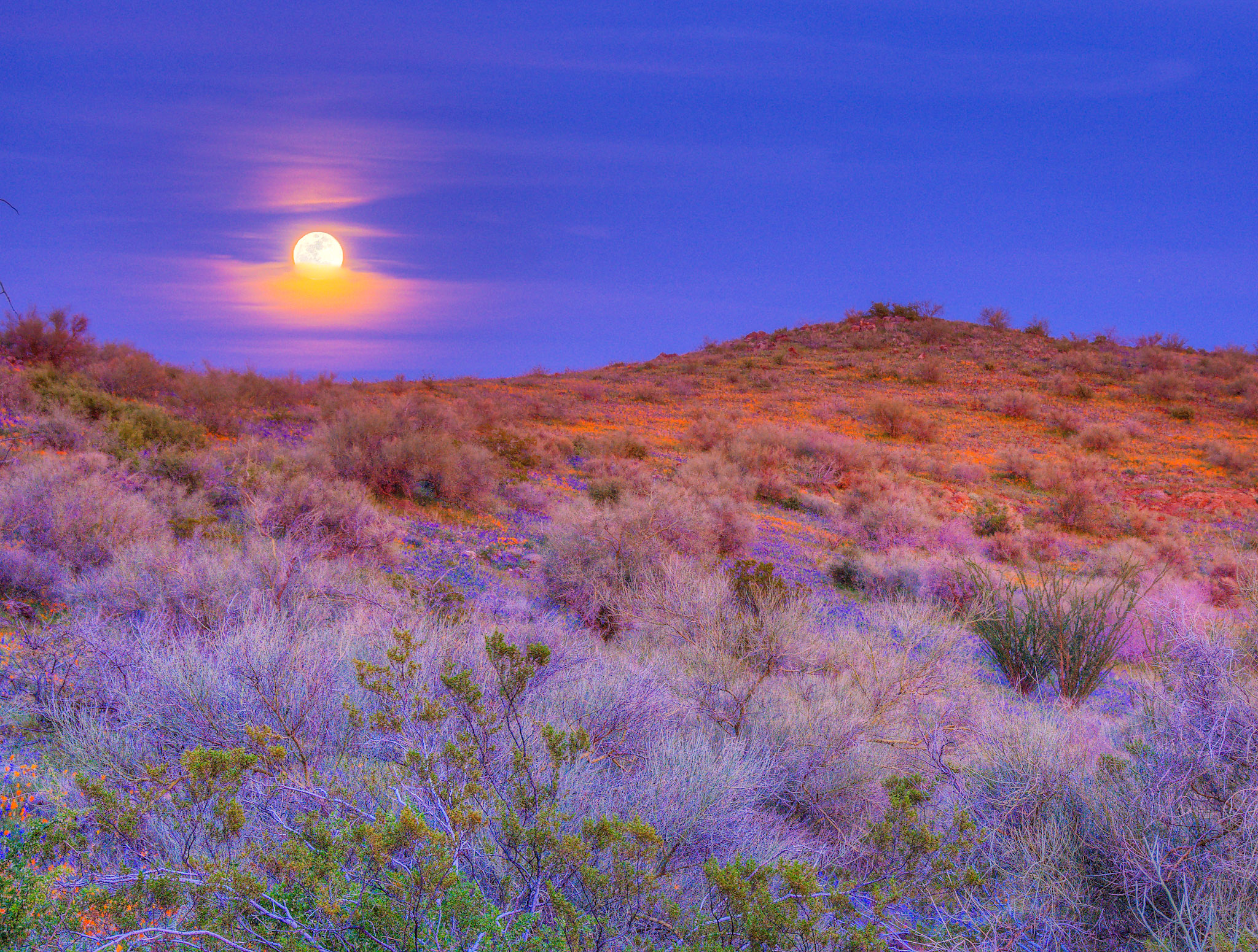 San Carlos Apache Reservation