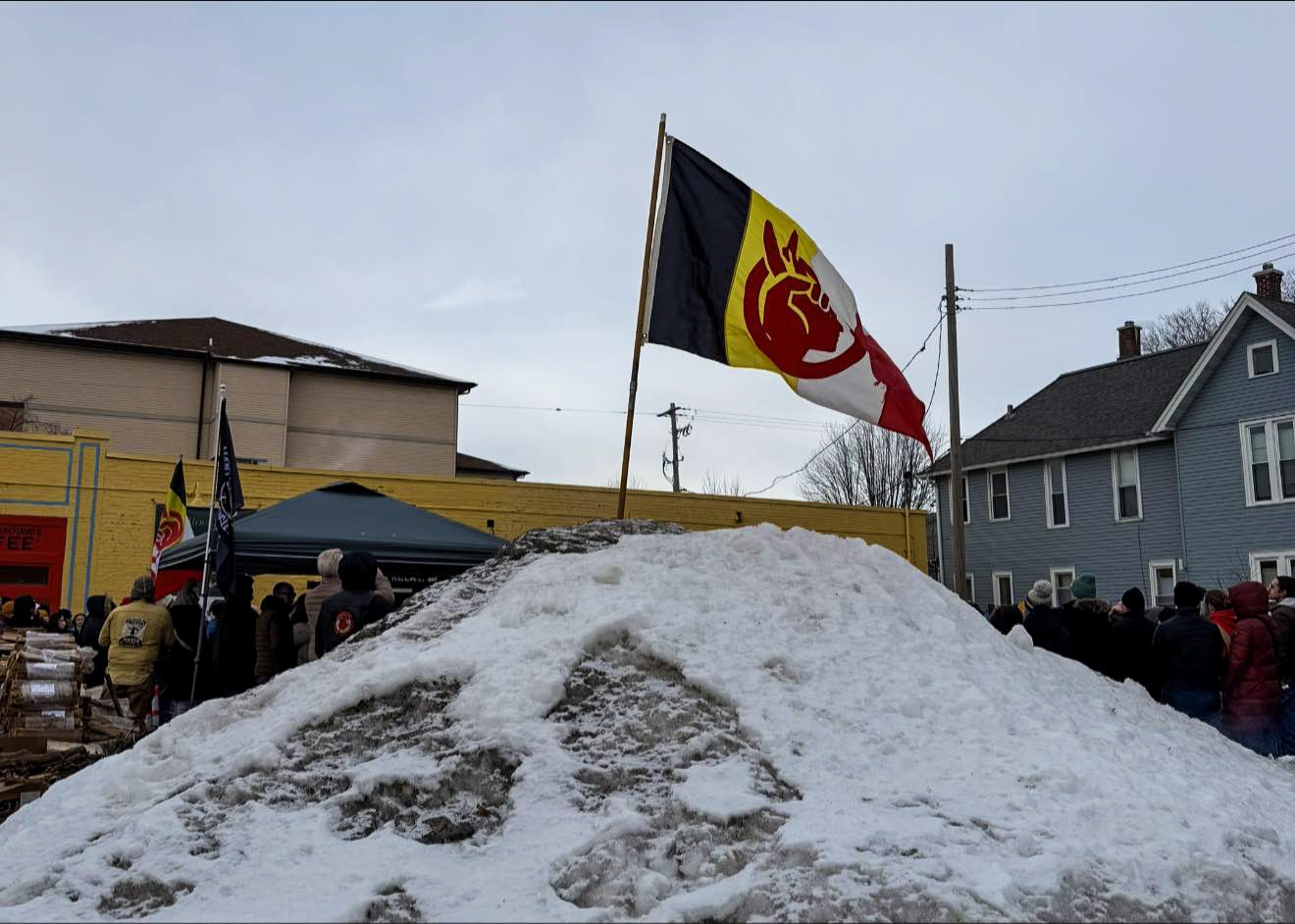 Indigenous Protector Movement