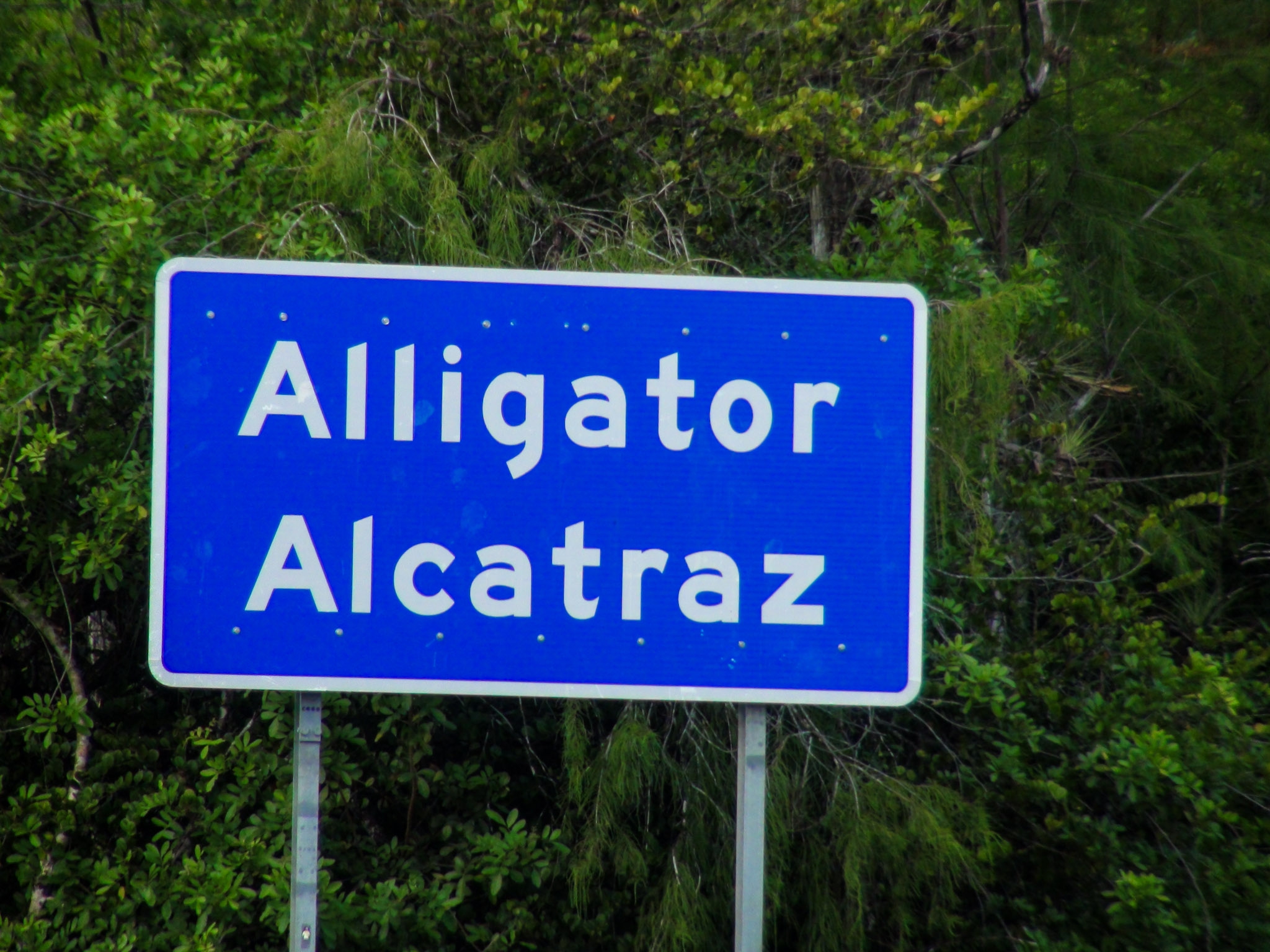 Alligator Alcatraz