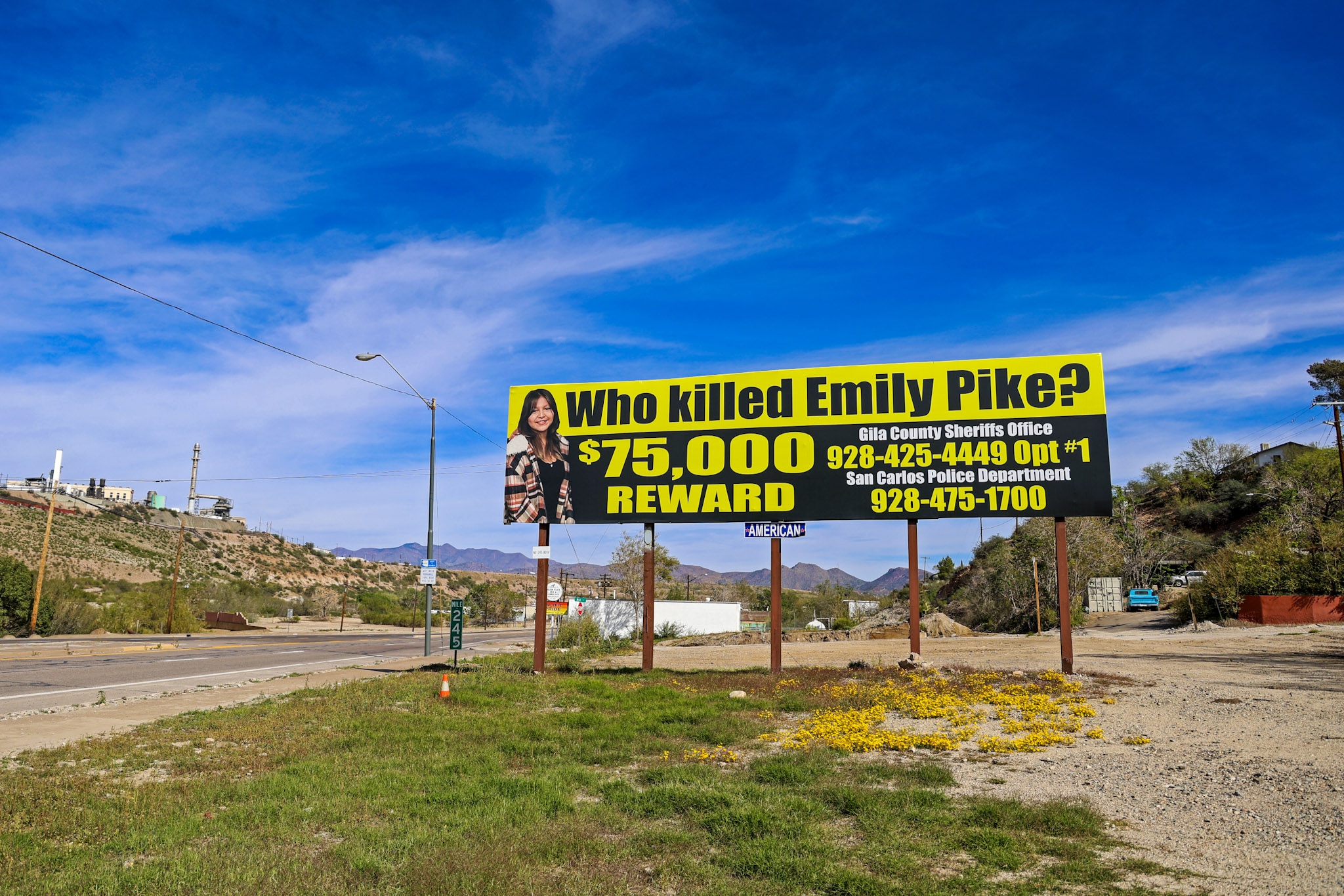 Emily Pike Billboard