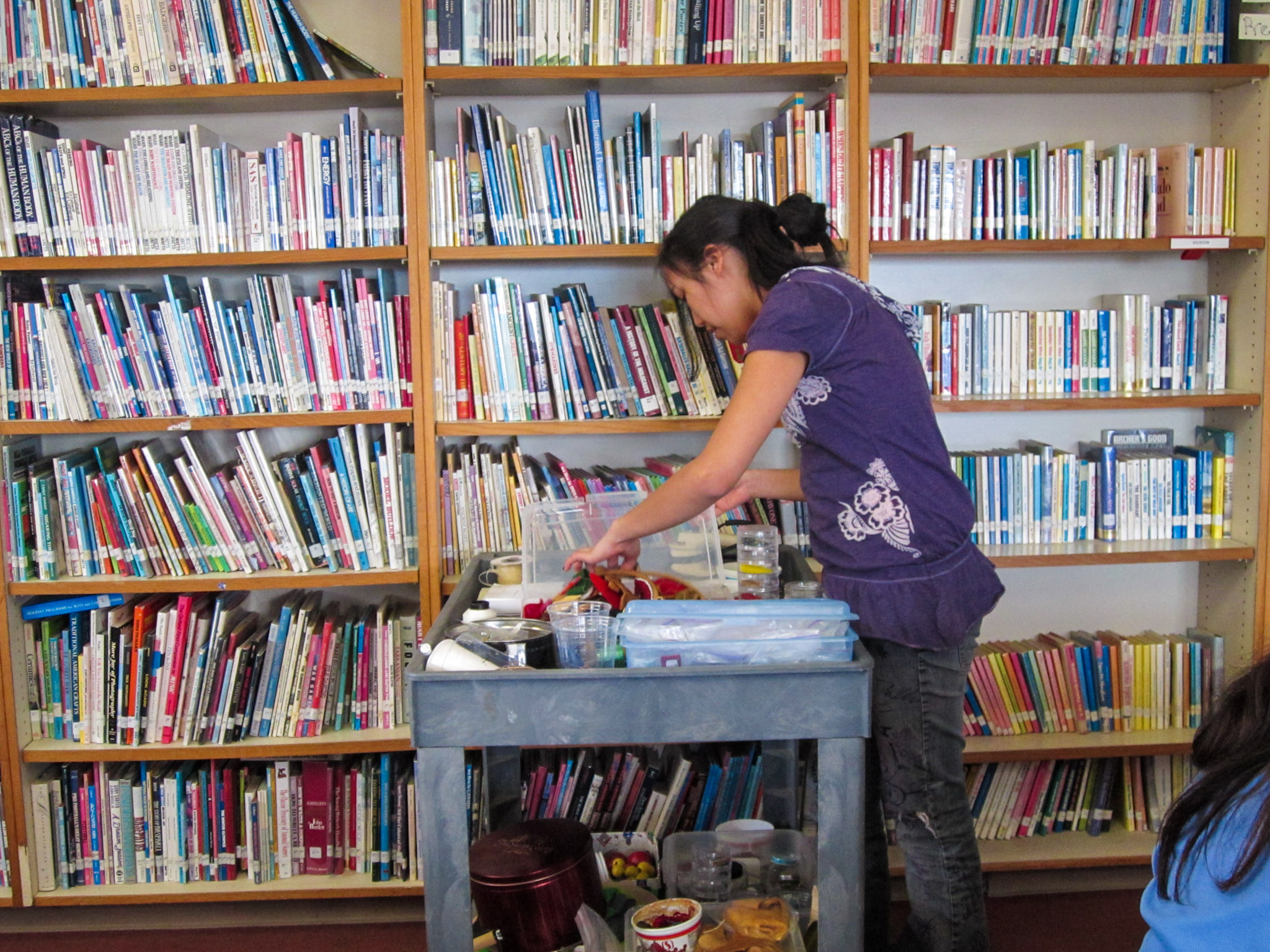 Innoko River Tribal Library