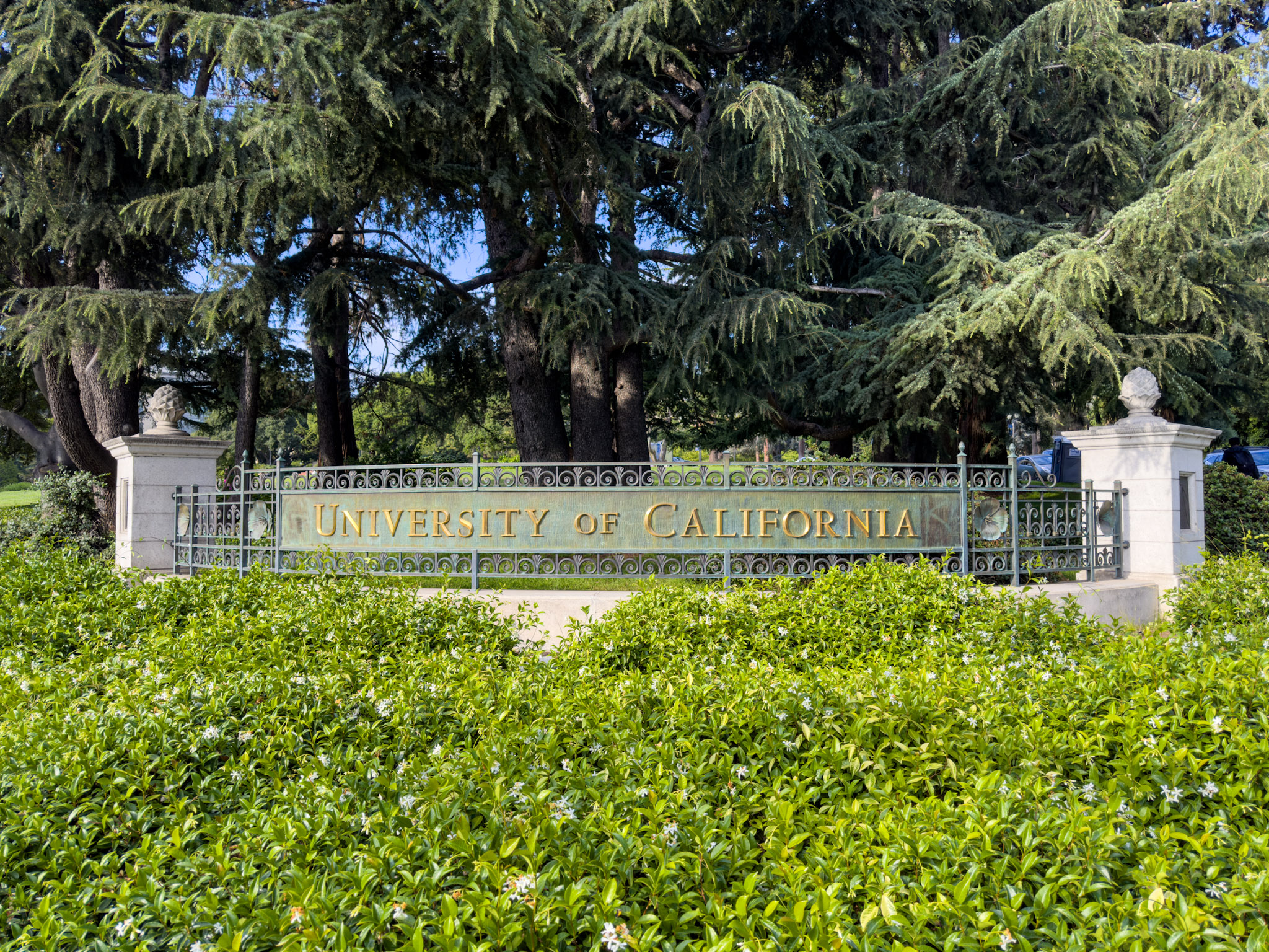 University of California, Berkeley