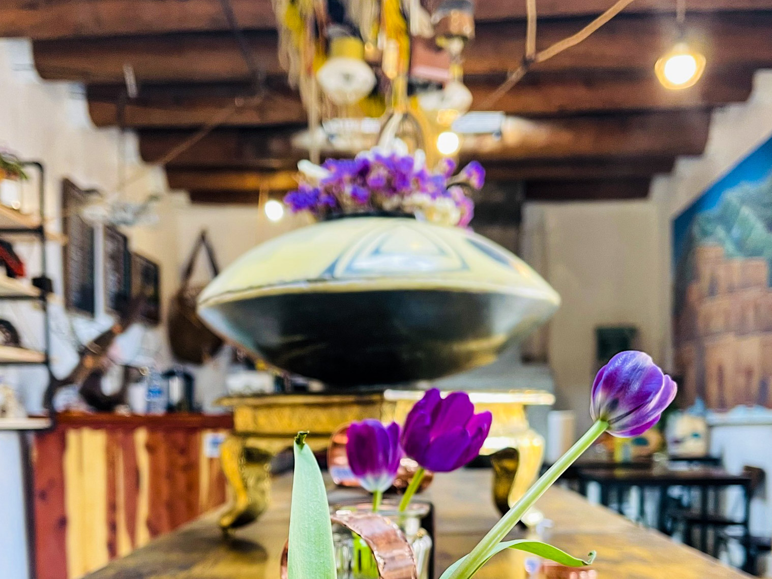 Dawn Butterfly Cafe