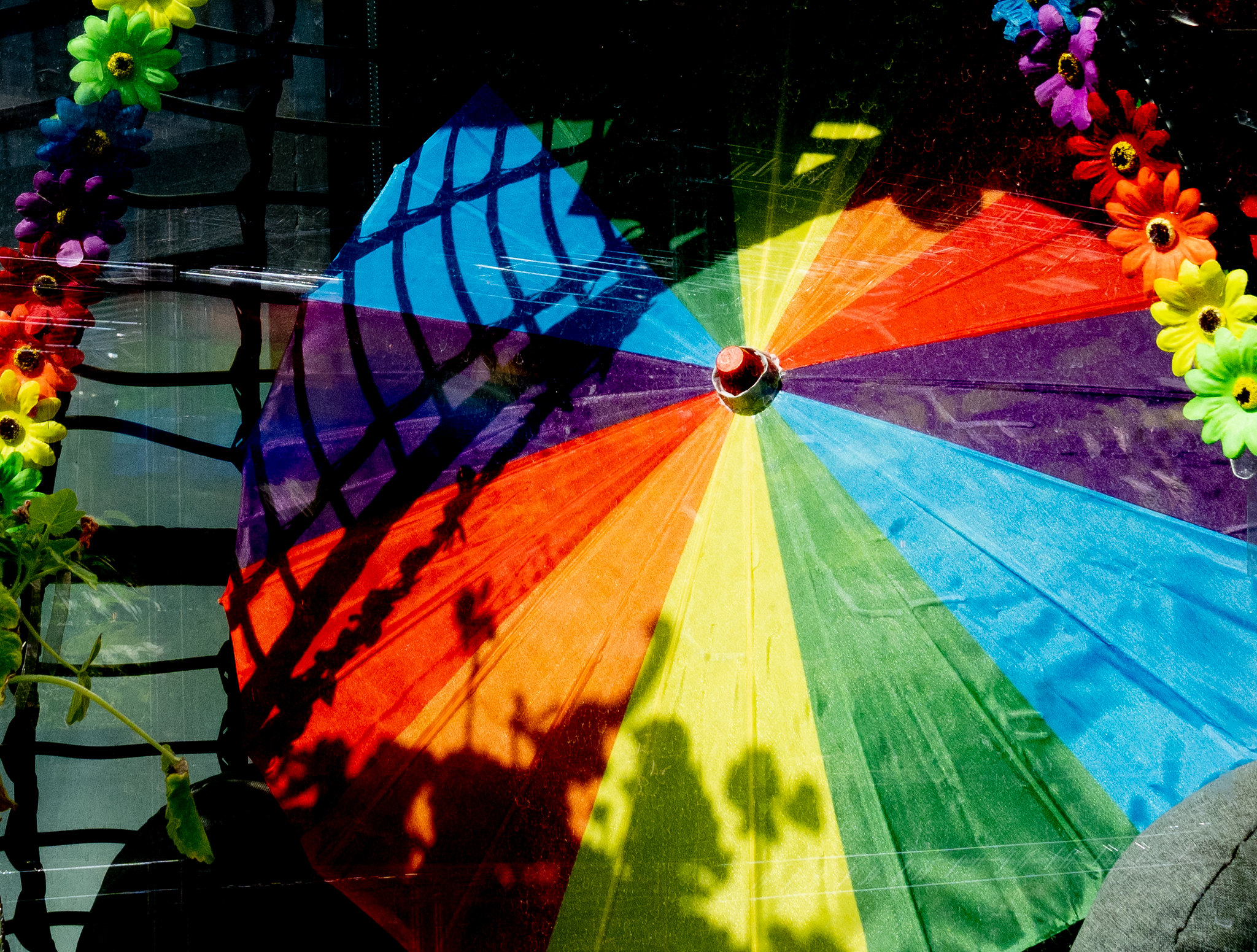 Pride in Washington, D.C.