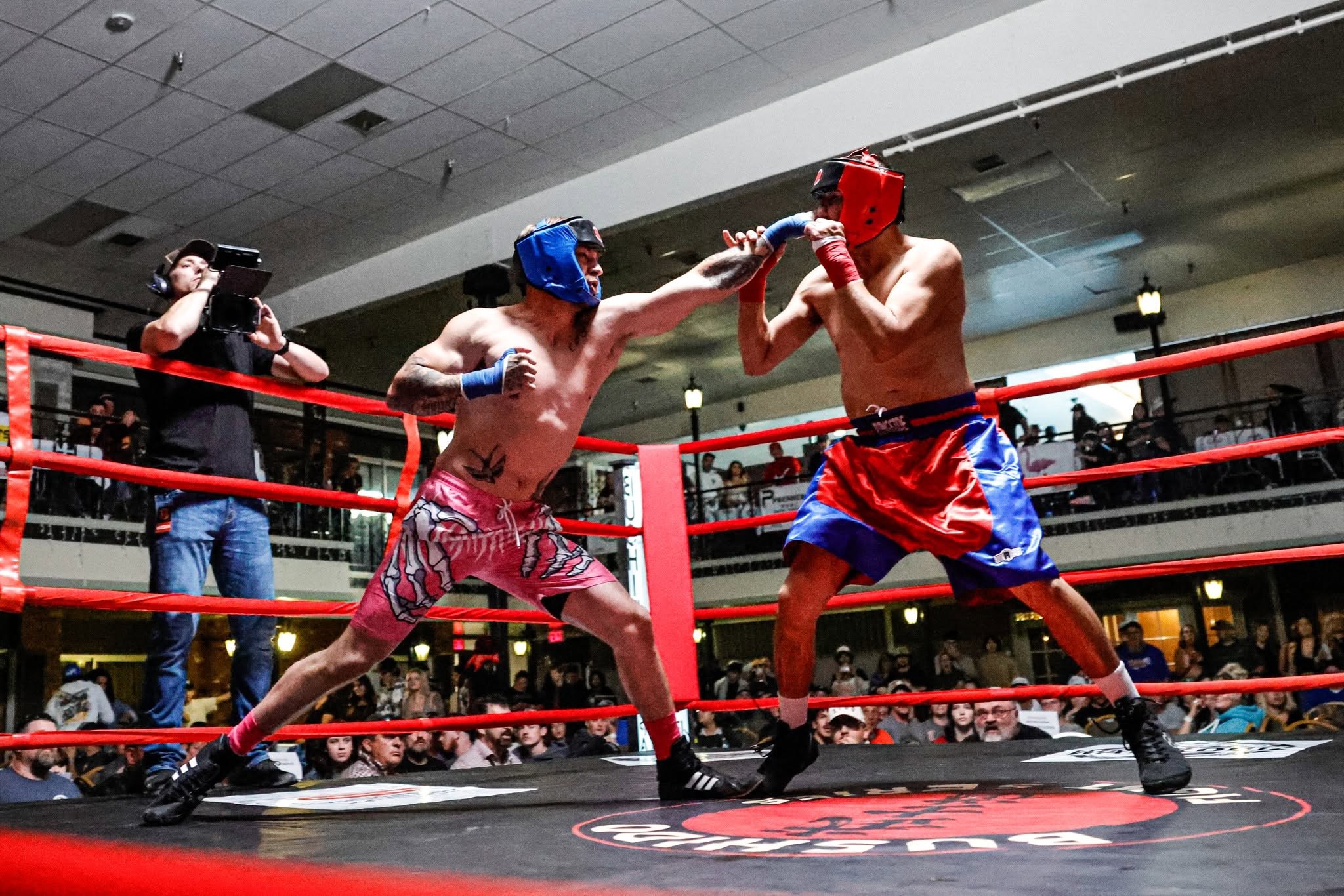 Bushido Fight Series