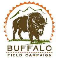 Buffalo Field Campaign (@BuffaloField) on X