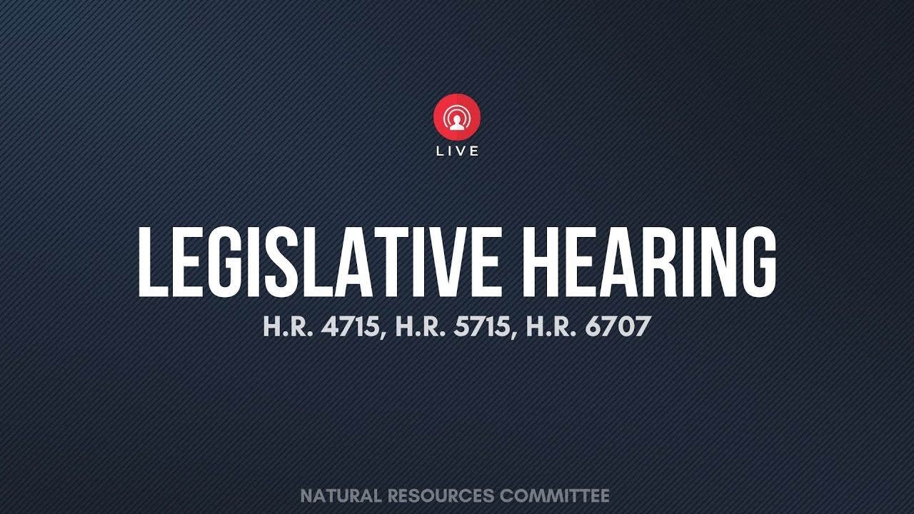 Remote SCIP Legislative Hearing –  March 31, 2022