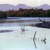 The Colorado River