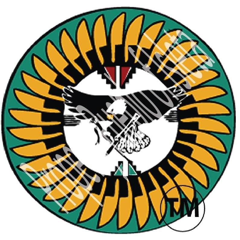 Pueblo of Isleta (New Mexico) COVID19 in Indian Country